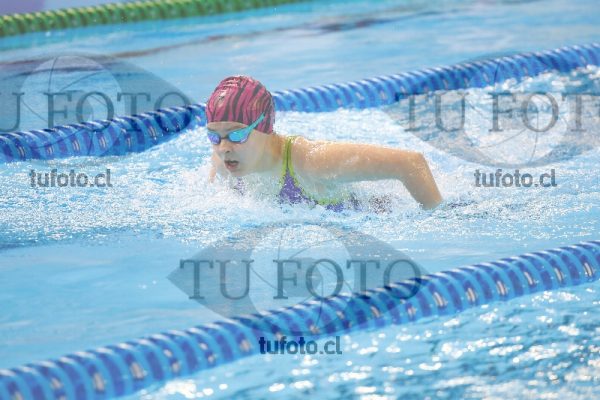 Image 100 M D0032