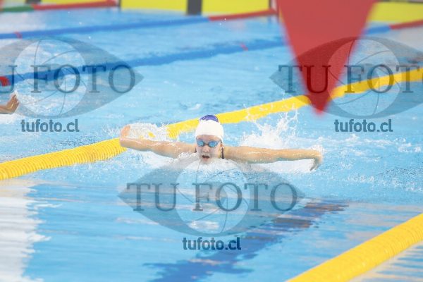 Image 100 M D0054