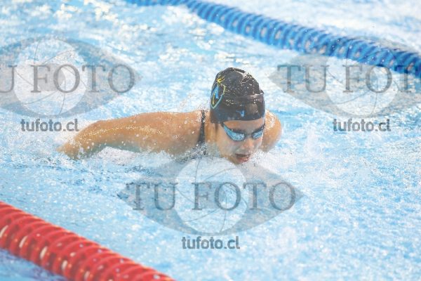 Image 100 M D0060