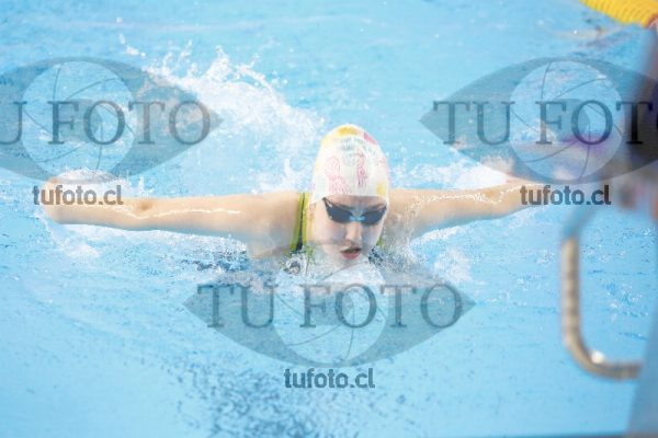 Image 100 M D0077