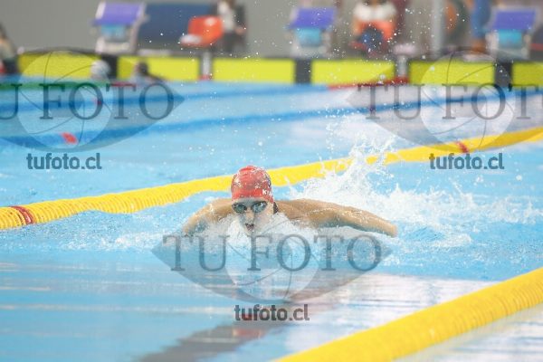 Image 100 M D0105
