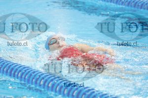 Image 400 c D 0049