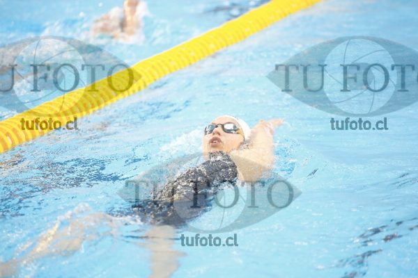 Image 400 c D 0113