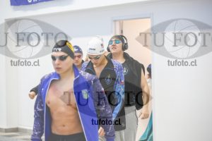 Image 50 P V pm 0003