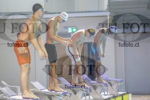 Image 50 P V pm 0026