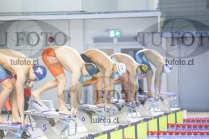 Image 50 P V pm 0028