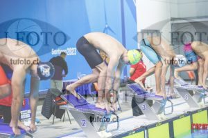 Image 50 P V pm 0032