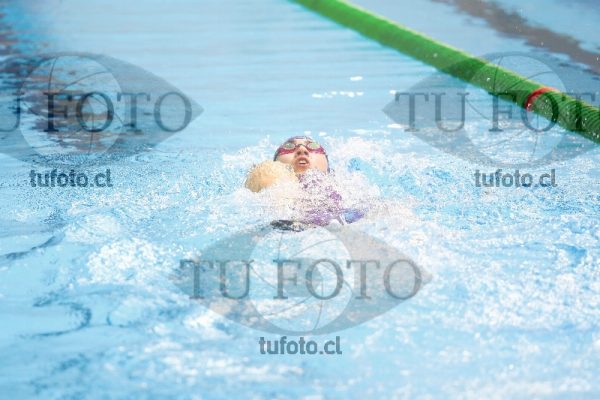 Image 200 E D PM 0008