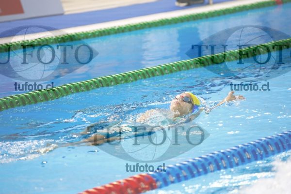 Image 200 E D PM 0020