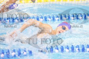 Image 400 L V PM 0028