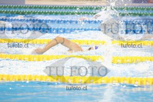 Image 400 L V PM 0033