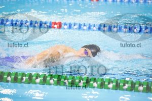 Image 400 L V PM 0034