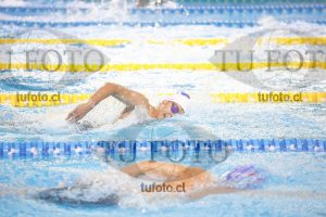 Image 400 L V PM 0037