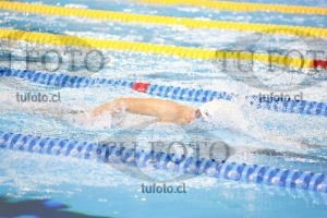 Image 400 L V PM 0038