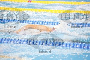 Image 400 L V PM 0039