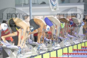 Image 400 L V PM 0069