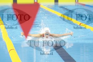 Image 400 c d PM 0047