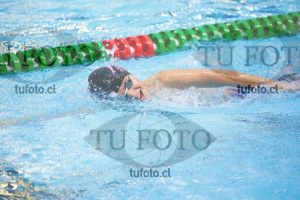Image 1500 L V 0032