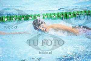 Image 1500 L V 0034