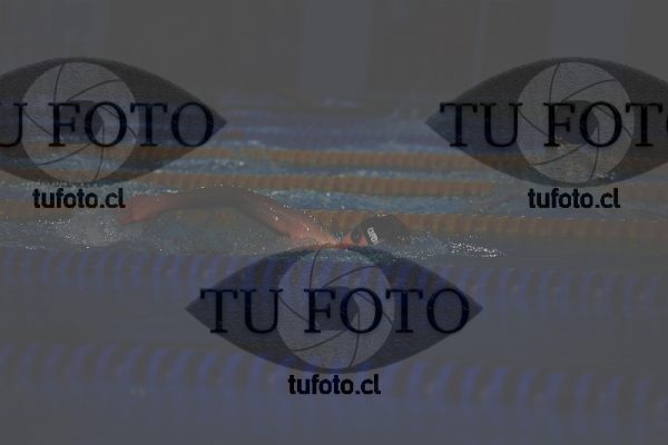 Image 1500 L V 0039