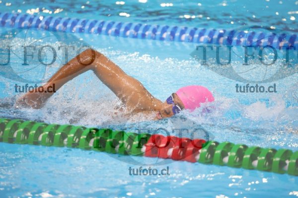 Image 1500 L V 0040