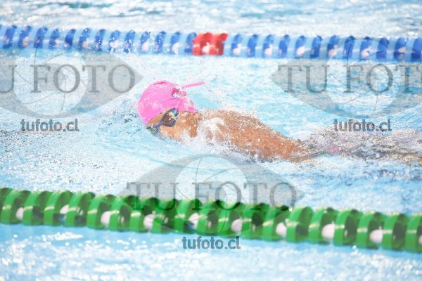 Image 1500 L V 0058