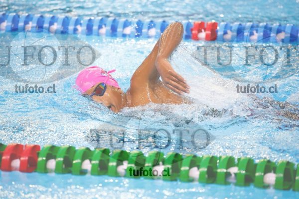 Image 1500 L V 0070