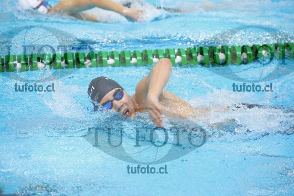 Image 1500 L V 0128