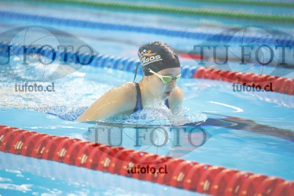 Image 200 P D 0009