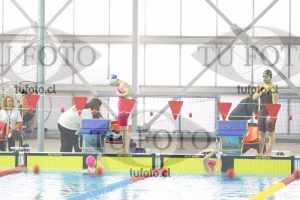 Image 200 P D 0017