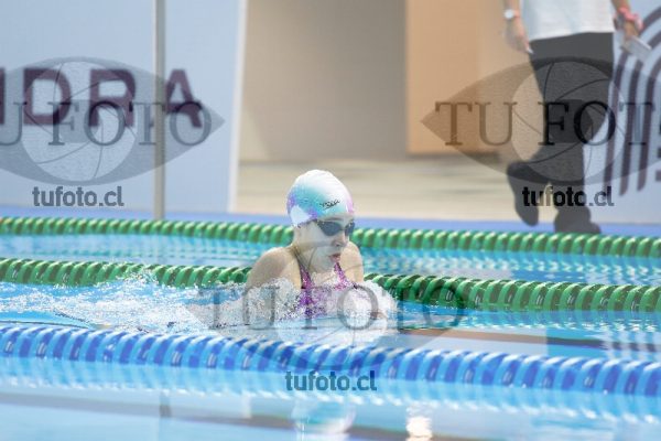 Image 200 P D 0073