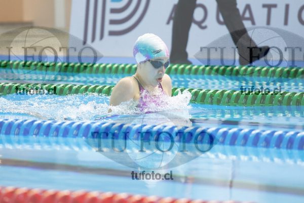 Image 200 P D 0074
