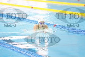 Image 200 P D 0108