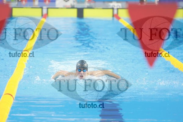 Image 100 M V 0021