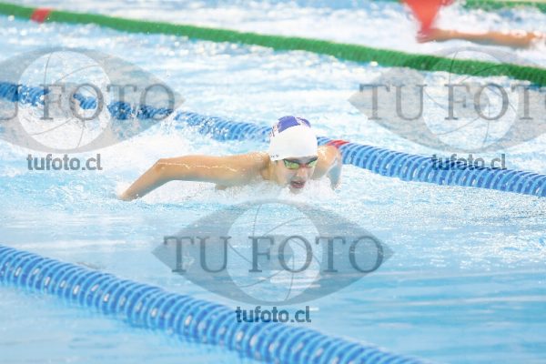 Image 100 M V 0023