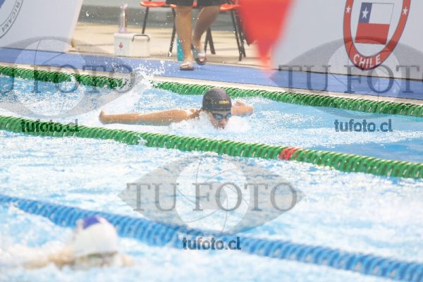 Image 100 M V 0025