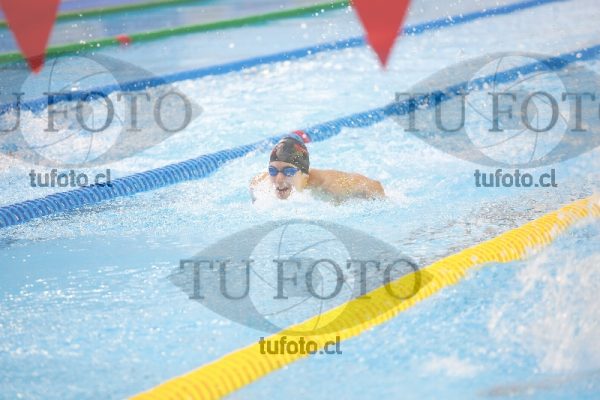 Image 100 M V 0026