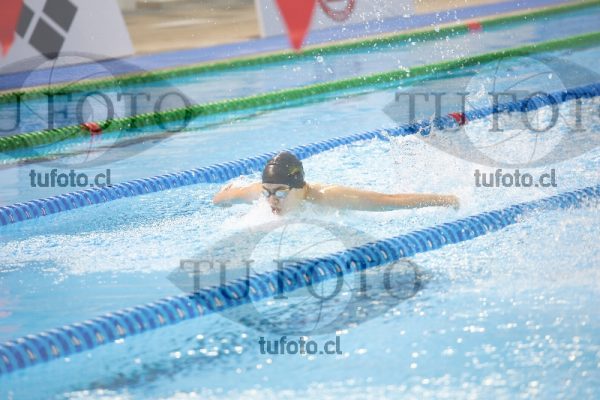 Image 100 M V 0028
