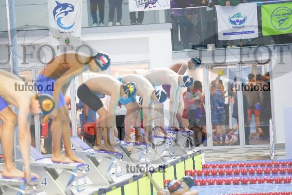 Image 100 M V 0039