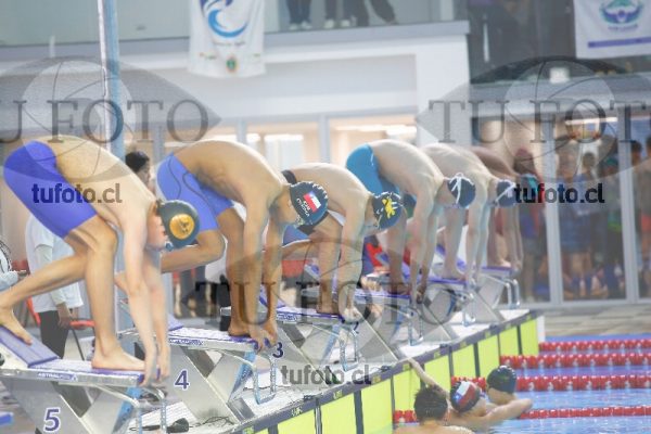 Image 100 M V 0042