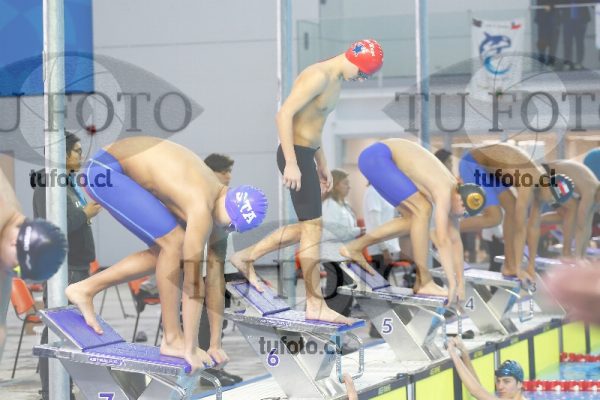 Image 100 M V 0044