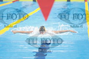 Image 100 M V 0047