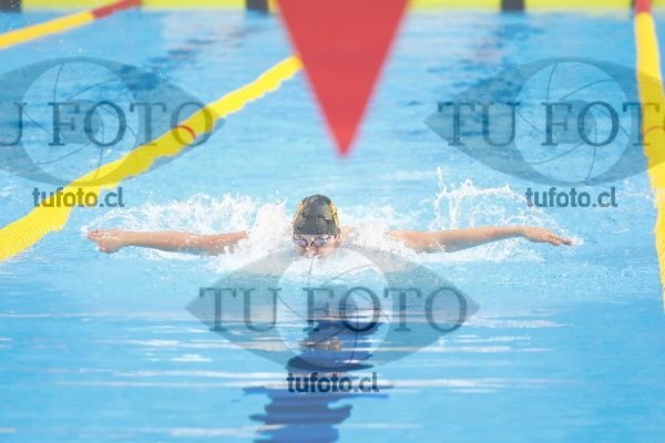 Image 100 M V 0047