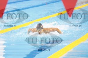 Image 100 M V 0049