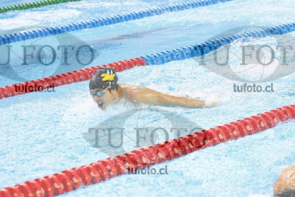 Image 100 M V 0052