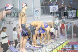 Image 100 M V 0060