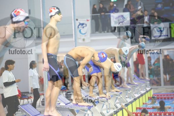 Image 100 M V 0060