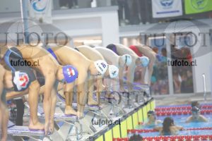 Image 100 M V 0063