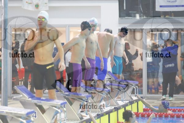 Image 100 M V 0075
