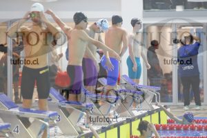 Image 100 M V 0077